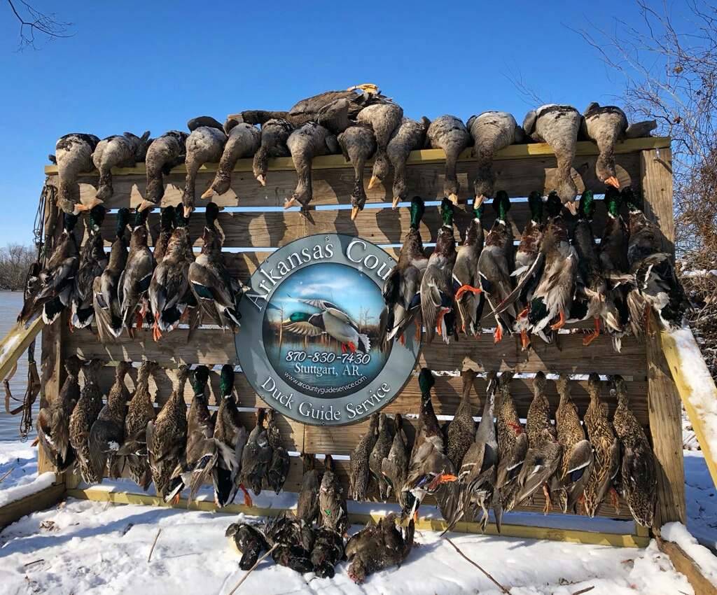 Arkansas Guided Duck Hunts Stuttgart, AR