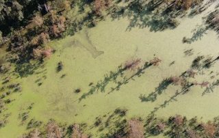 Waterfowl Hunting Guides In Stuttgart Arkansas With Lodging