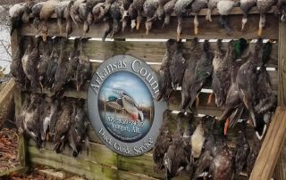 Stuttgart AR Hunting Guides For Ducks & Waterfowl