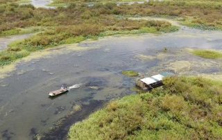 Waterfowl Hunting Guides In Stuttgart Arkansas With Lodging
