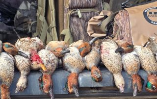 Arkansas Waterfowl Hunting Guides