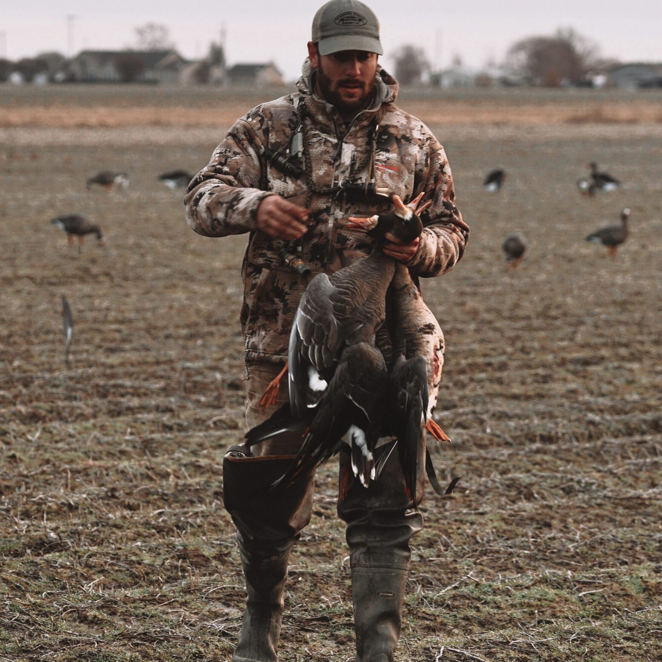 Logan Arkansas goose hunting guide