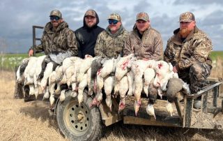 Fully Guided Snow Goose Hunts In Arkansas With Lodging