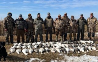 Fully Guided Snow Goose Hunts In Arkansas With Lodging