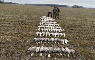 Conservation Spring Snow Goose Hunts, Fully Guided With Lodging