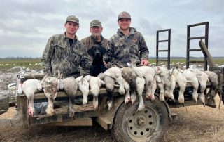 Conservation Spring Snow Goose Hunts, Fully Guided With Lodging