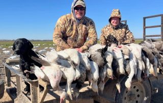 Conservation Spring Snow Goose Hunts, Fully Guided With Lodging