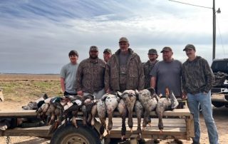 Specklebelly Snow Goose Hunts Fully Guided