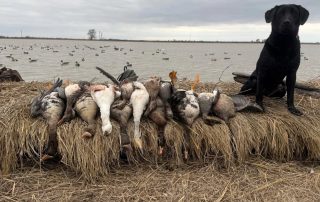 Arkansas Speck Hunts Fully-Guided With Lodging