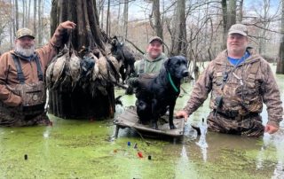 Stuttgart AR Fully-Guided Flooded Marsh Hunts For Ducks