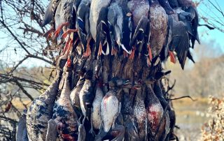 Guided Duck Hunting Trips Arkansas
