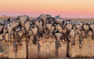 Arkansas Speck Guides & Lodging