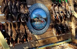 Mallard Duck Hunts Stuttgart Arkansas