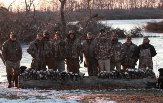 Arkansas Mallard Duck Hunts