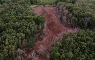 Arkansas Duck Hunting Slough In Flooded Timber
