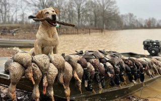 Flooded Timber Duck Hunts Stuttgart AR