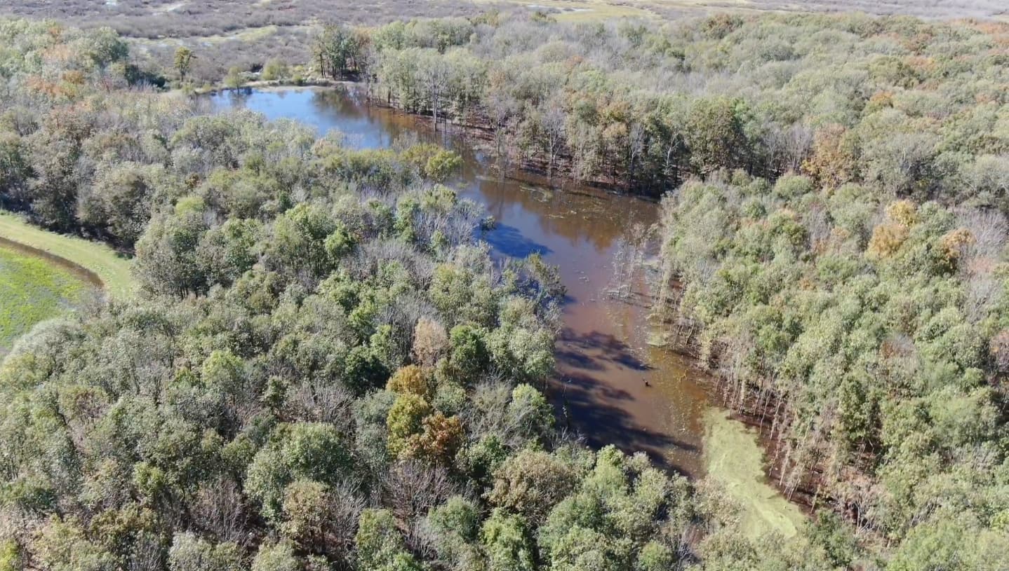 Arkansas County Guide Service waterfowl hunting