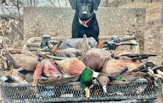Guided Duck Hunts In Arkansas