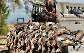 Fully Guided Duck Hunts In Arkansas With Lodging