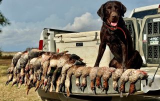 Guided Duck Hunts In Arkansas