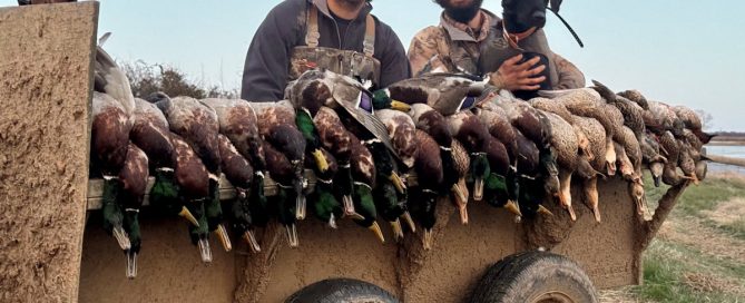 Stuttgart Arkansas Duck Guides
